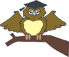 Owl Graduate Clip Art
